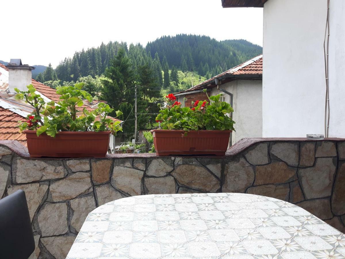 Guest House Denitsa Trigrad Luaran gambar